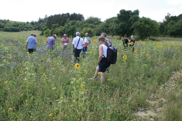 Blick auf eine Gruppe Interessierte in einem Feld mit vielen blühenden Pflanzen